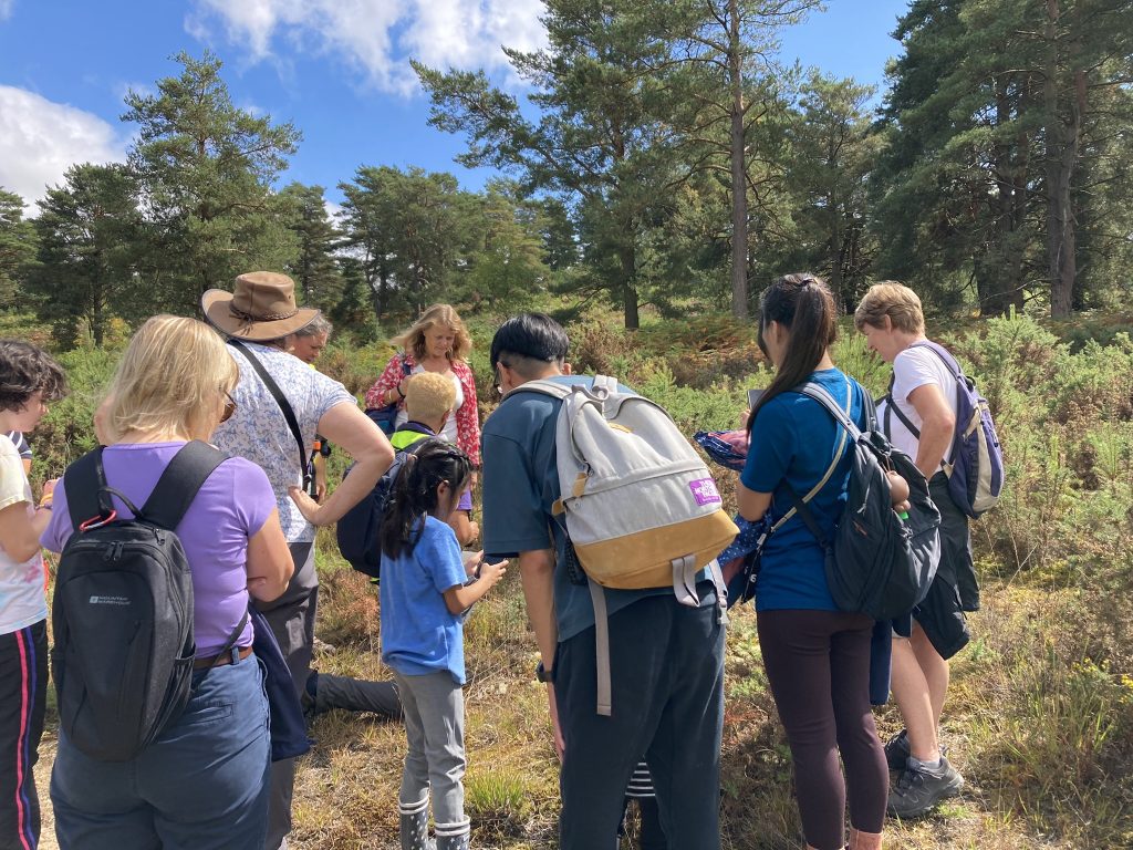 Petersfield Walking Festival walk at Longmoor heath - SDNPA led