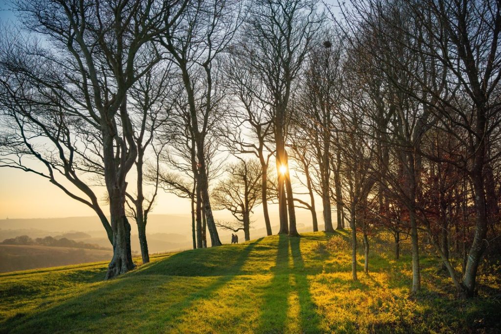 Image of sunset at Chanctonbury Ring in the South Downs