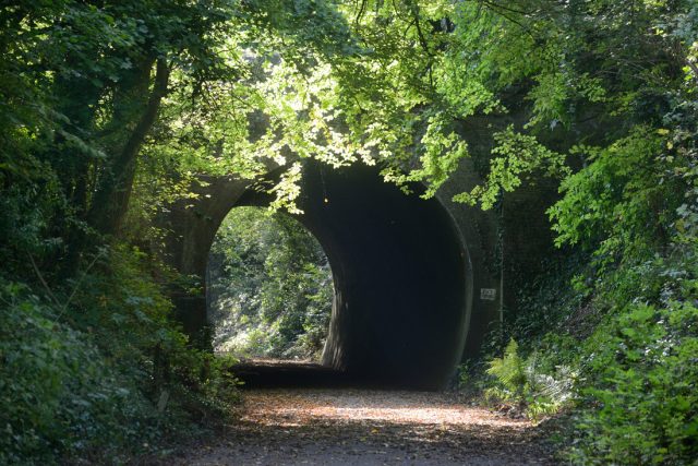 West Dean tunnel on the disused railway line between chichester and midhurst.