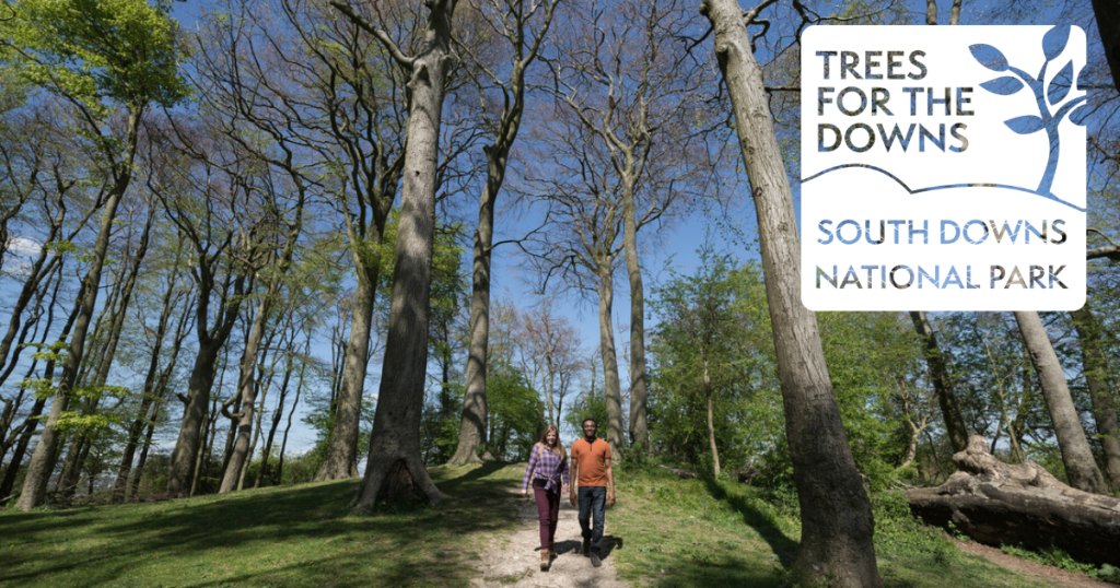 Walkers in woodland on St Catherine's Hill, Hampshire - SDNPA