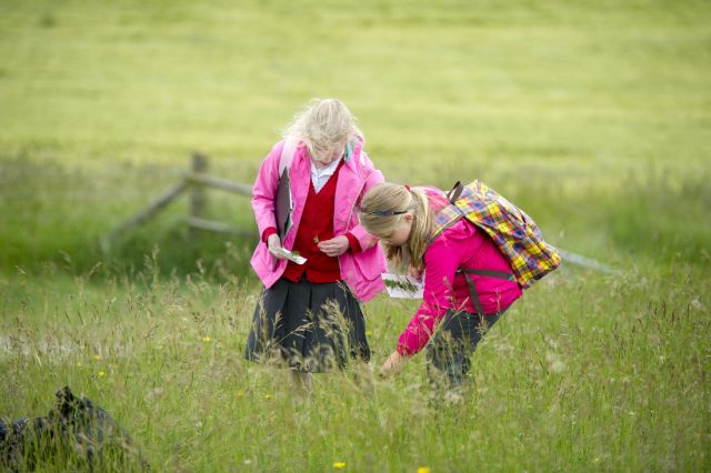 Two children looking with interest at something in the grass on a school trip to the South Downs National Park