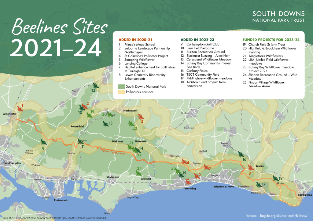 Site map for the beelines locations in the south downs national park 2021-24