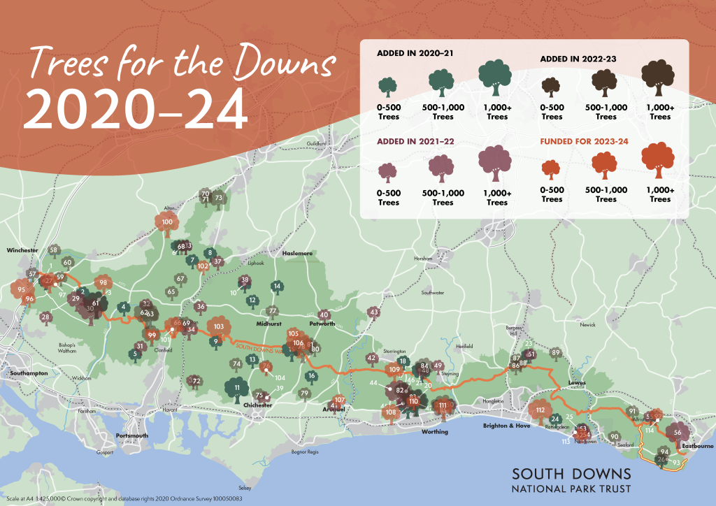 Map showing the trees planted and planned across the south downs fro 2020 to 2024