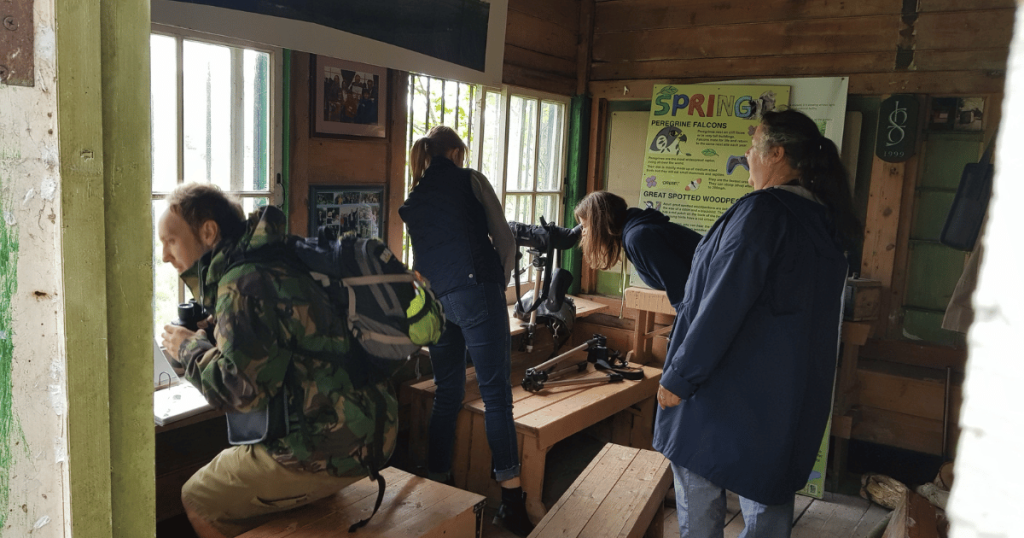 image shows several people using telescopes and binoculars at the newly renovated bird hide at Lewes Railway land trust.