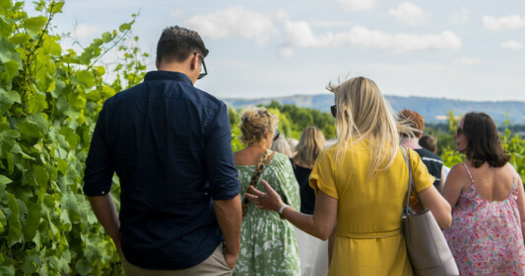 Image of visitors enjoying an open day to the Nyetimber vineyard in the South Downs National Park