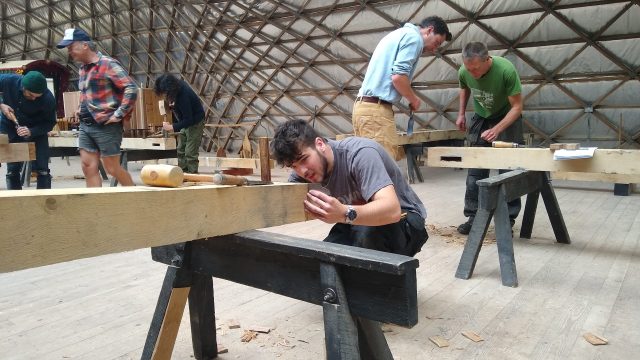 image showing a taster day for Timber-repair-in-the-Gridshell at Weald-Downland-Museum