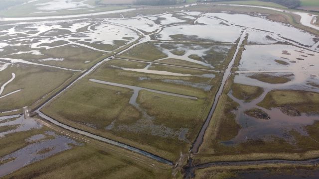 RSPB Pulborough Brooks at ideal water height - image shows flooded landscape