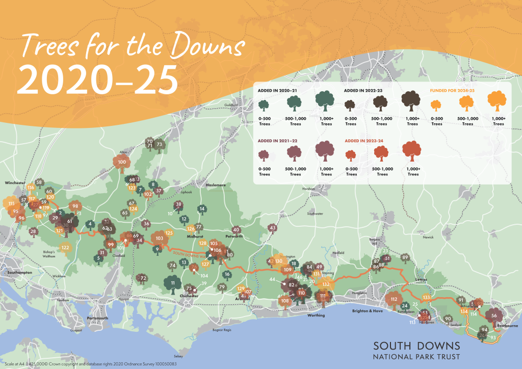 Map of the South Downs National Park showing sites for Trees for the Downs from 2020-2025