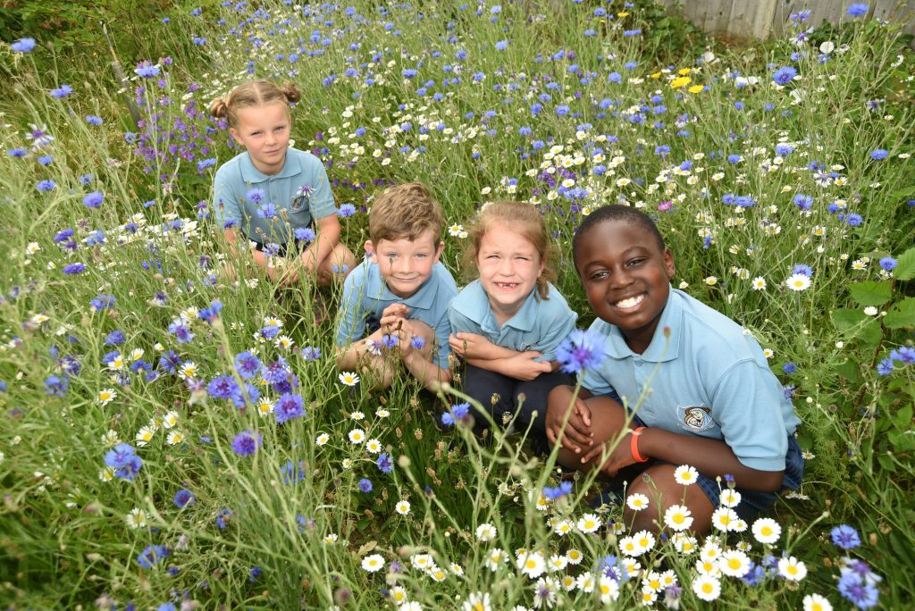 Children crouching in a wild flower area in school grounds