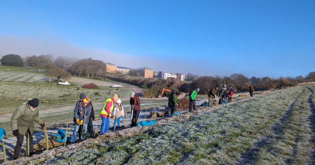 Volunteers at the Woodingdean Wilderness CIC helping to plant trees as recipients of the South Downs National Park's Trees for the Downs initiative.