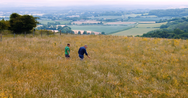 Image of Pen Hill a nature restoration project in the South Downs National Park