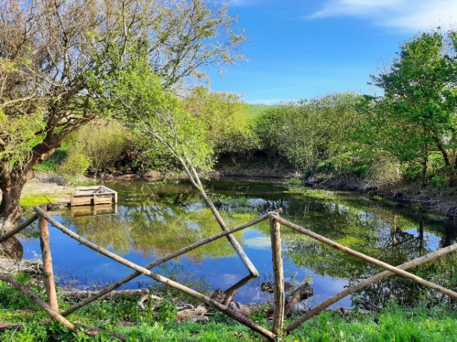 dew pond at seven sisters country park with fencing and dipping platform visible