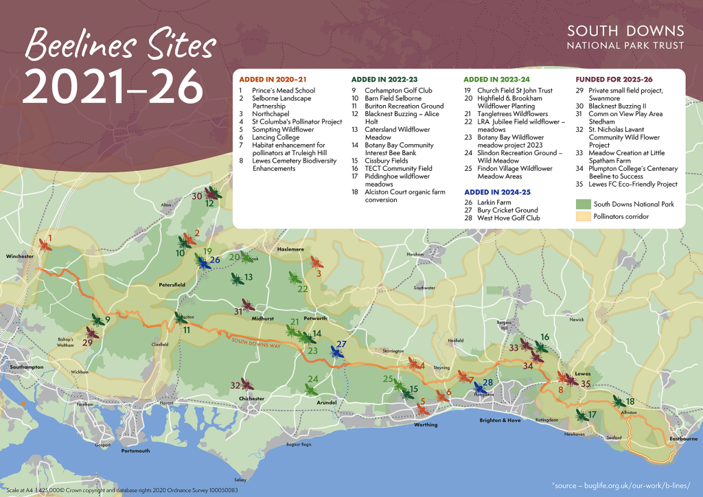 Map showing the sites that have received Beelines grants or are scheduled for funding in the South Downs National Park