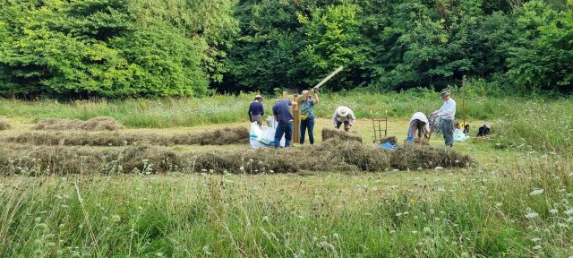 image showing several volunteers learning to box bale a hay meadow in Winchester
