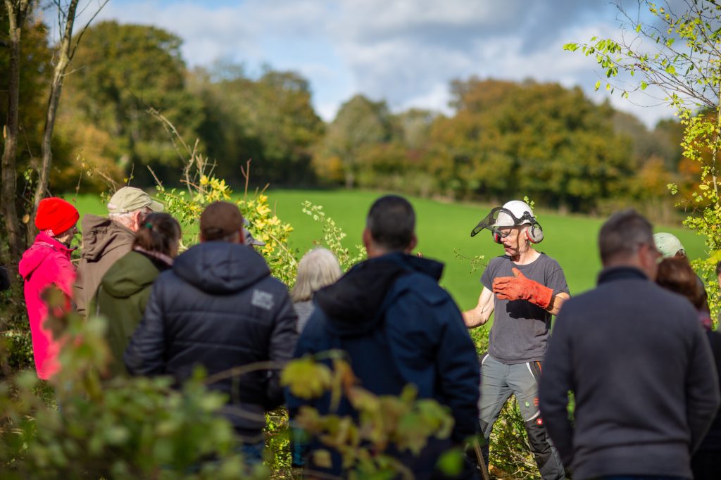 image showing people watching a demonstration of hedge laying and coppicing