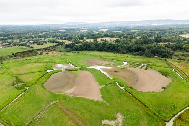 Image shows pulborough brooks wetland in july 2025