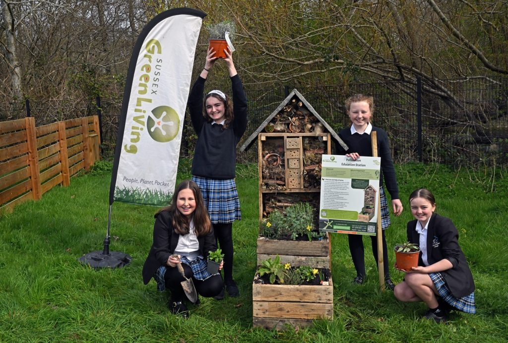 Pupils at Midhurst Rother College with their Pollinator Station - Pic by Anne Purkiss